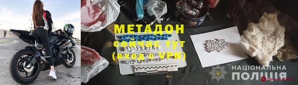 прущие грибы Михайловск