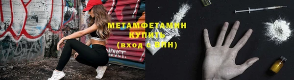 индика Краснослободск