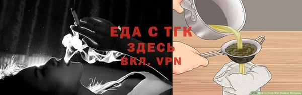 индика Краснослободск