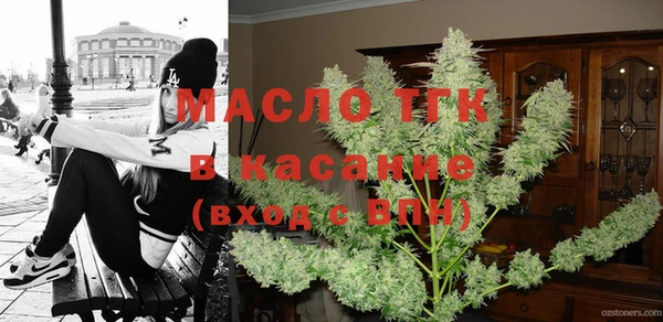 индика Краснослободск