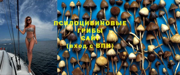 индика Краснослободск