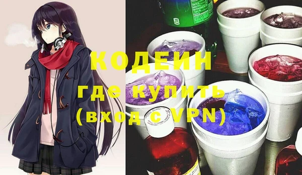 индика Краснослободск