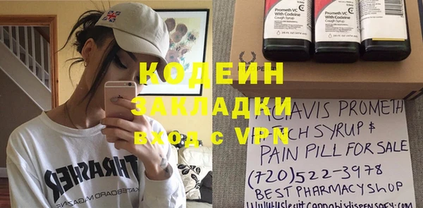 индика Краснослободск