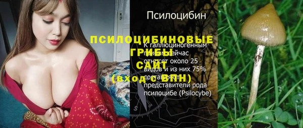 гидра Краснотурьинск